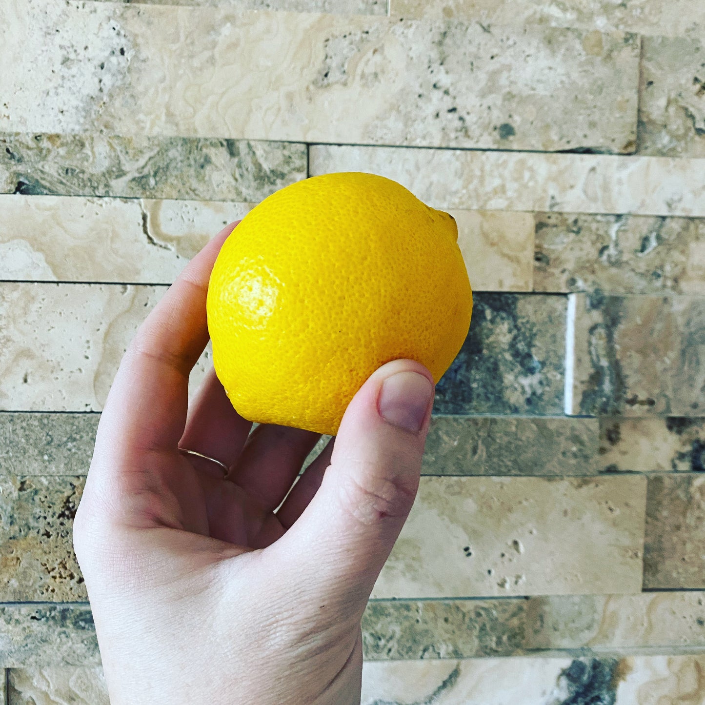 November 21 | All Things Lemon