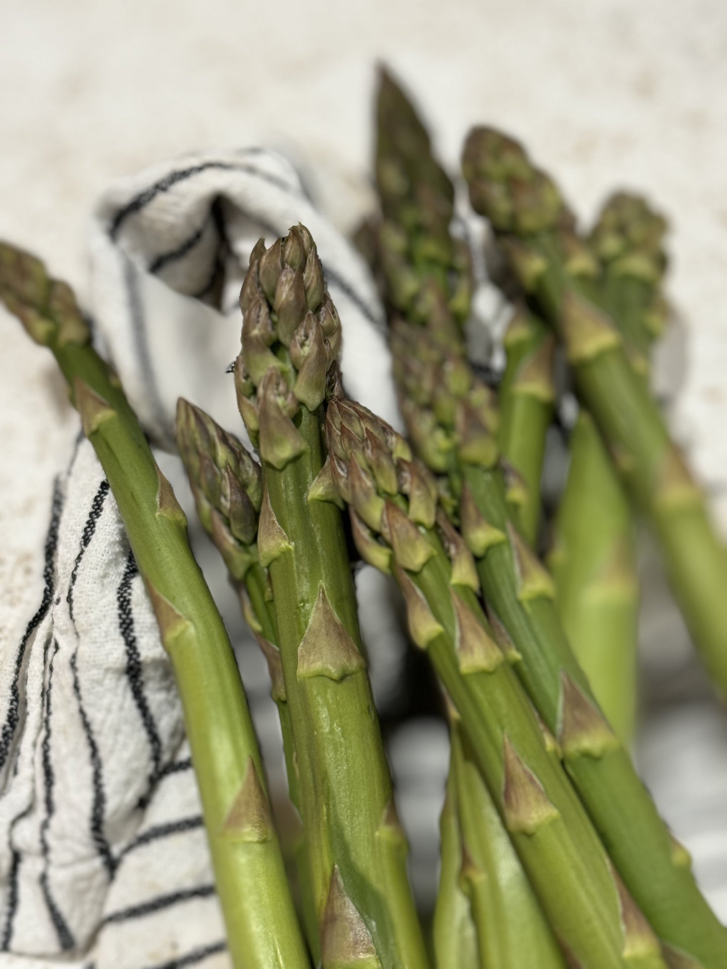 May 27 | All Things Asparagus