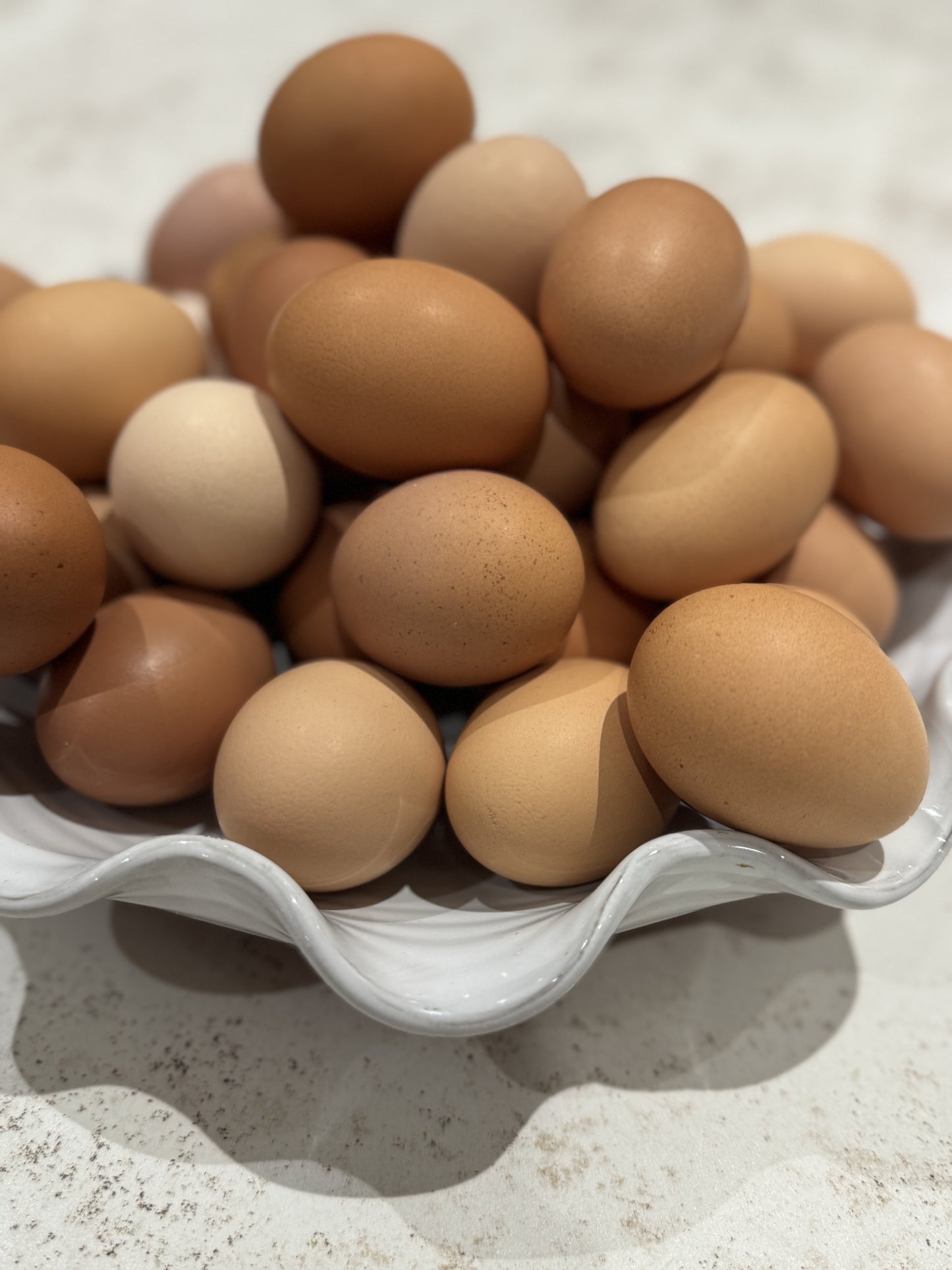 September 28 | Eggs and Dairy