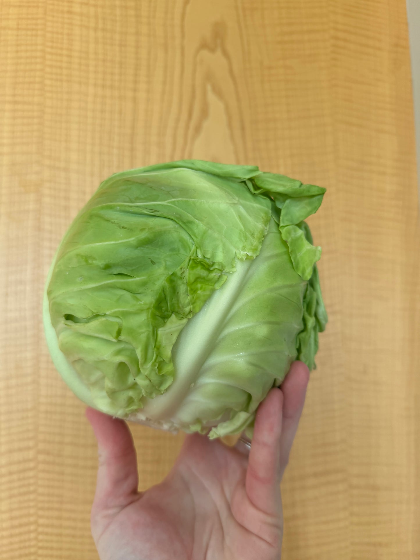 February 2 | All Things Cabbage