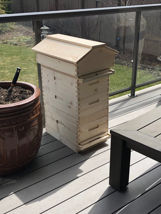 Backyard Bees - The Beginning