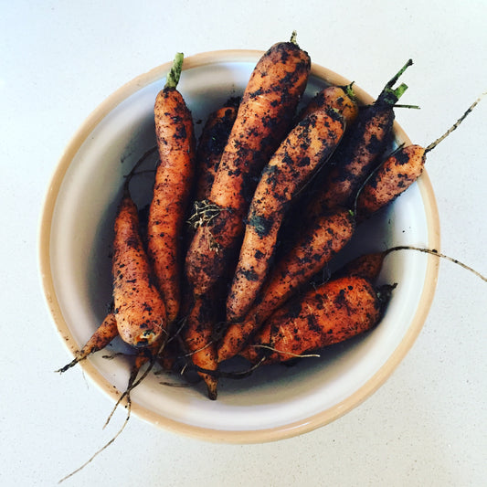 What's New at the Ruby Apron - September 2016