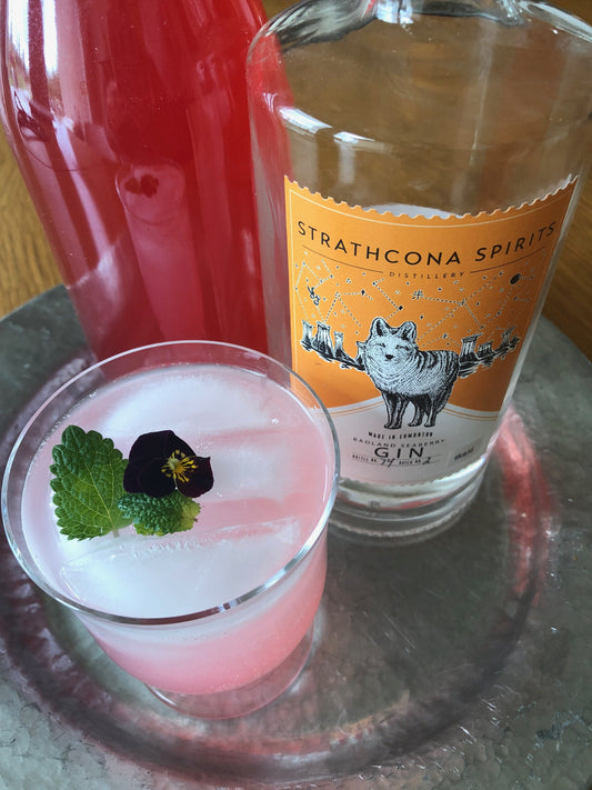 Rhubarb Fizz + Rustic Hummus Recipes