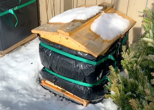 Looking Back at a Year With Backyard Bees