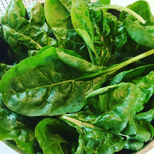 June 17 | All Things Spinach