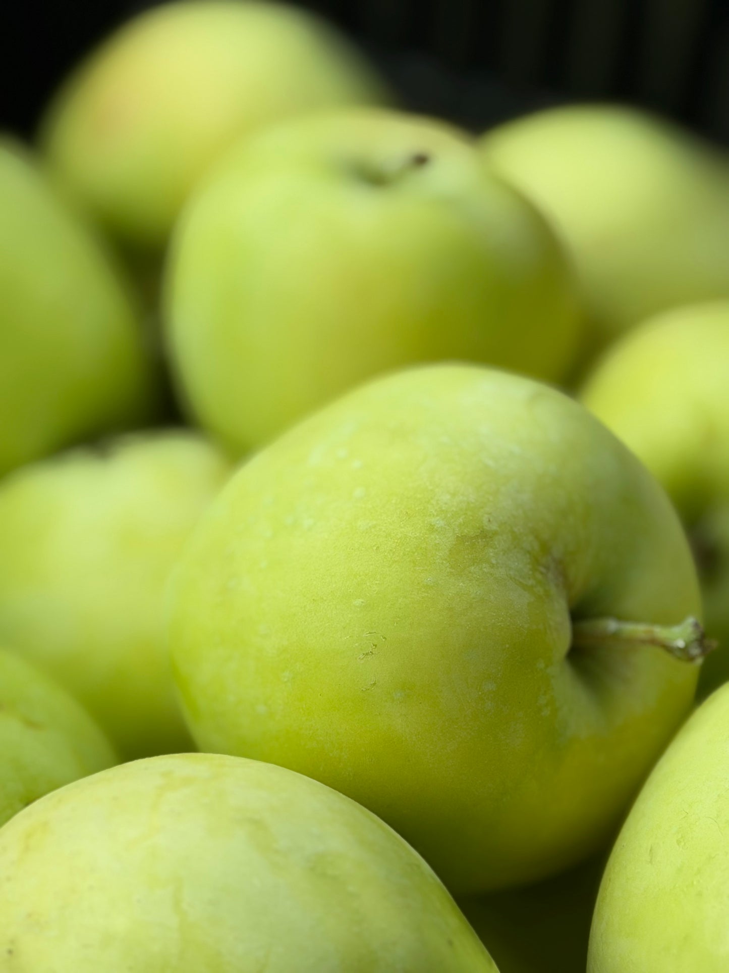 January 15 | All Things Apple