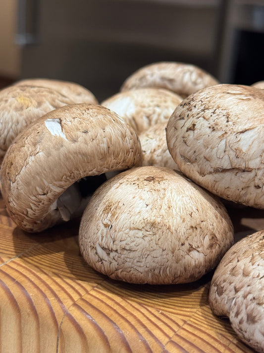 January 21 | All Things Mushrooms