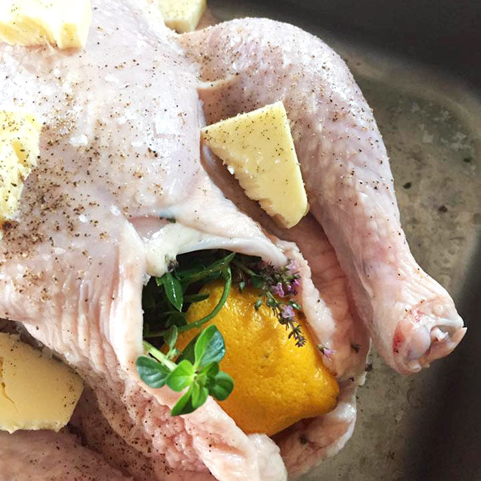 March 11 | All Things Chicken